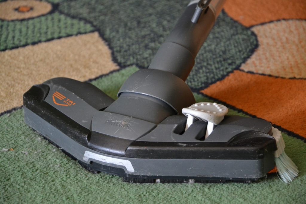 Get rid of fleas with a vacuum.