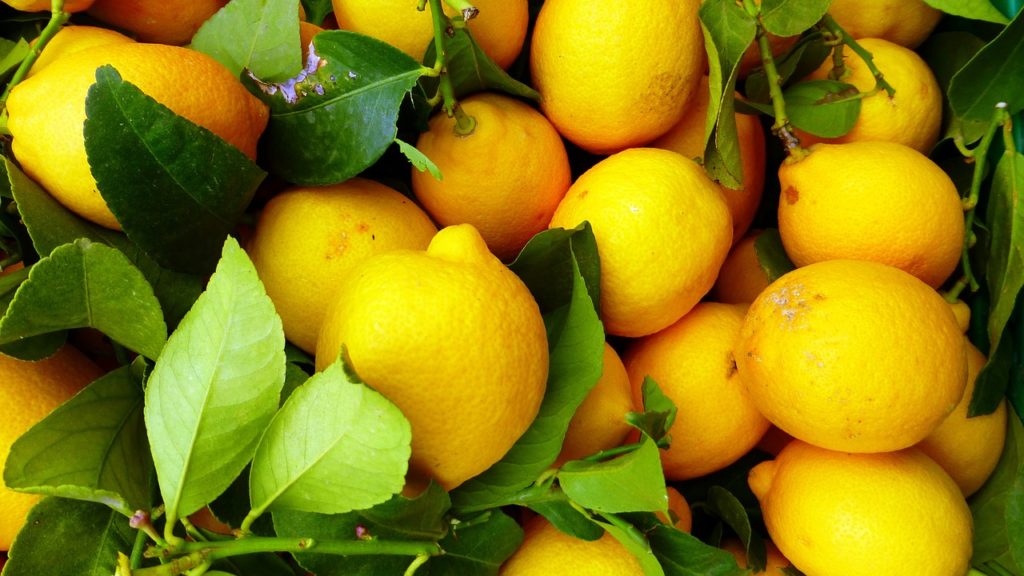 Relying on natural remedies like lemon is one of the most common mistakes in cat flea treatments.