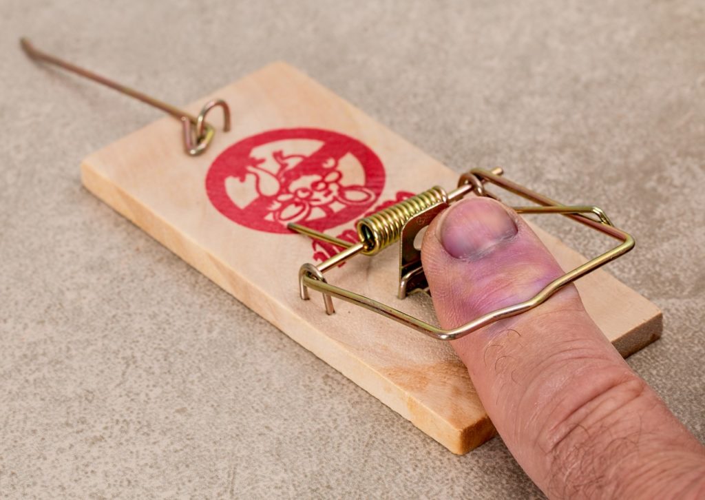 Get rid of rats with black pepper, but complement this method with other rat control methods like rat trapping.