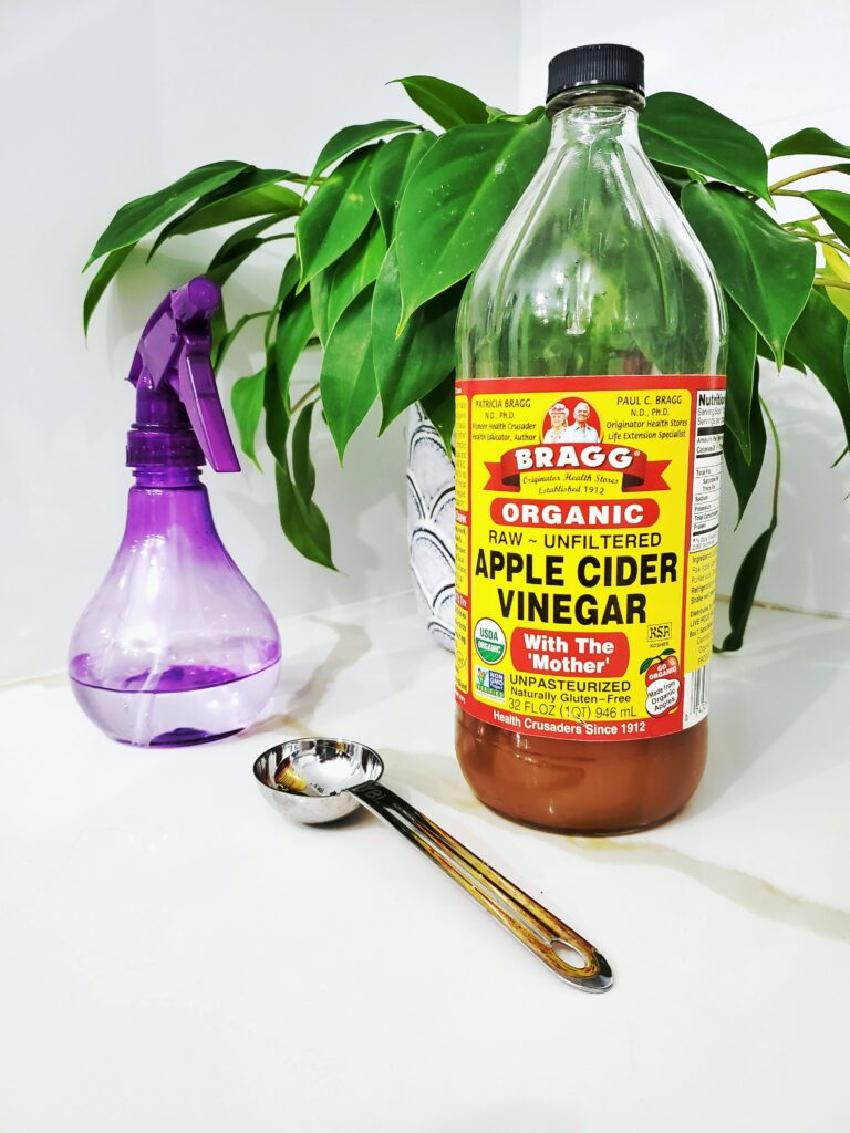 Get rid of houseflies with vinegar and other accessible ingredients