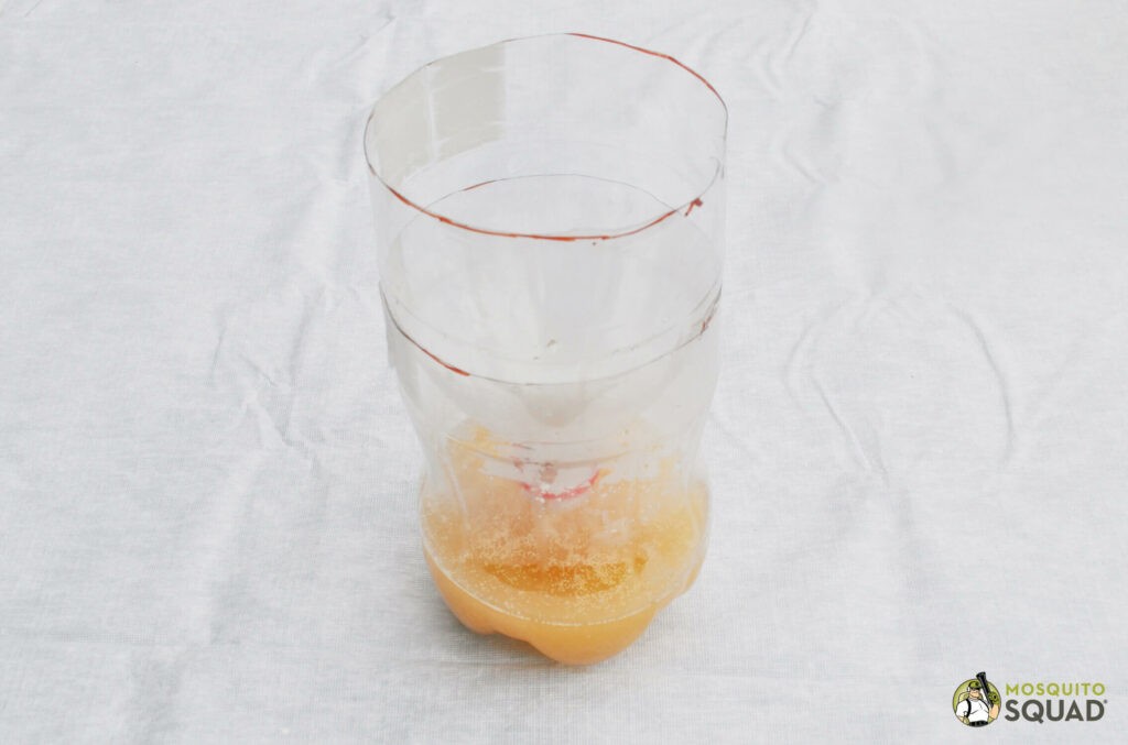There are other effective mosquito traps, such as the DIY soda bottle trap.