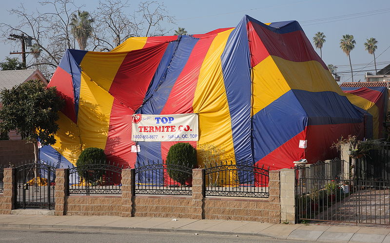 Termite tenting can be dangerous without safety precautions.