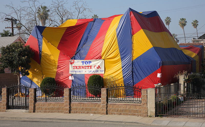 Termite fumigation is the process of covering your home with a tent and bombing it with a fumigant gas to kill termites.