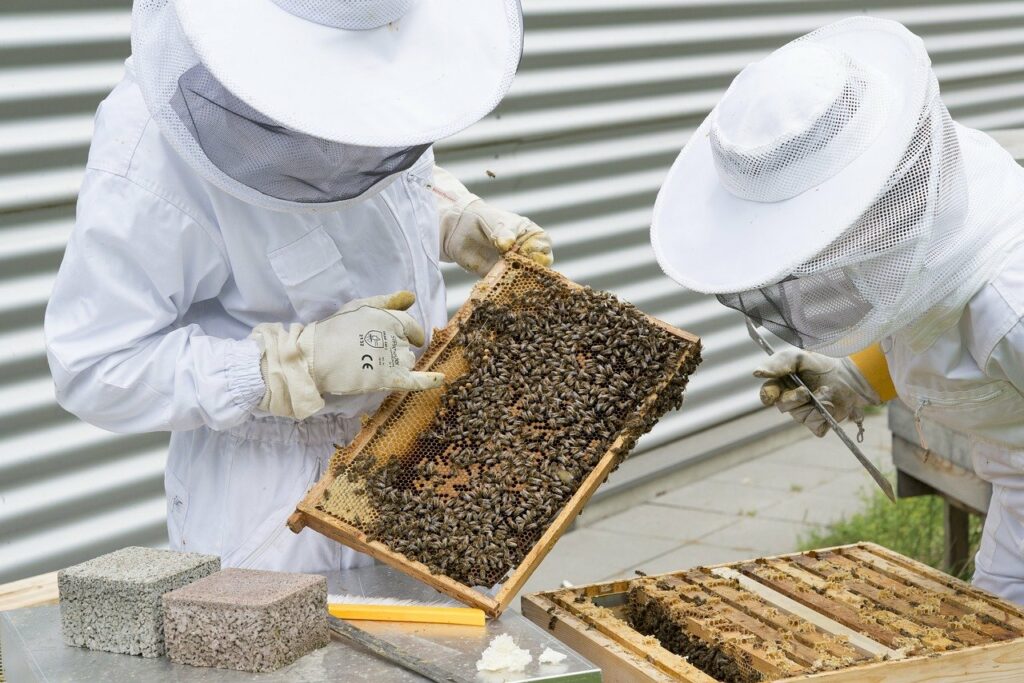 Get rid of beehives by calling professionals.