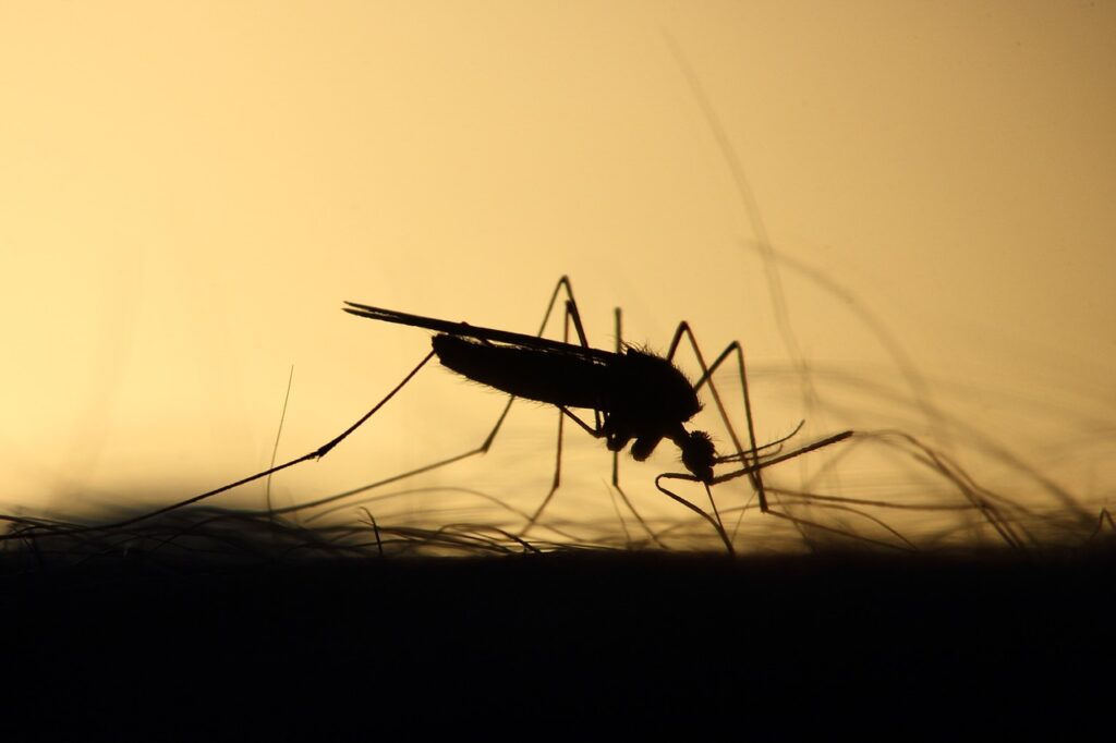 Be less attractive to mosquitoes by keeping a cool body temperature.