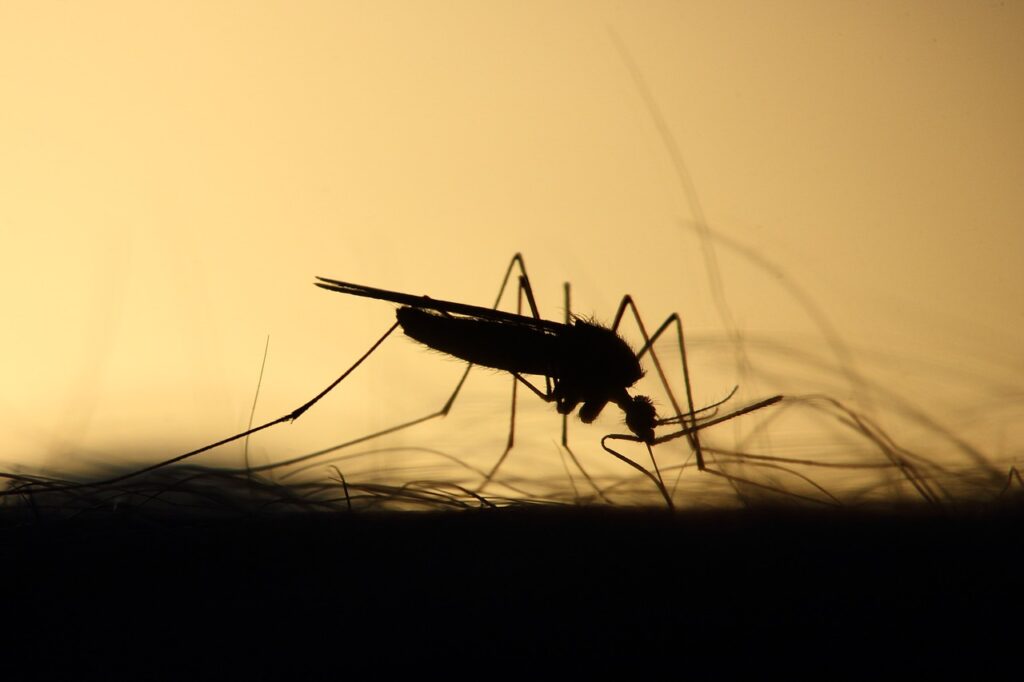 DEET can protect you from mosquito bites.