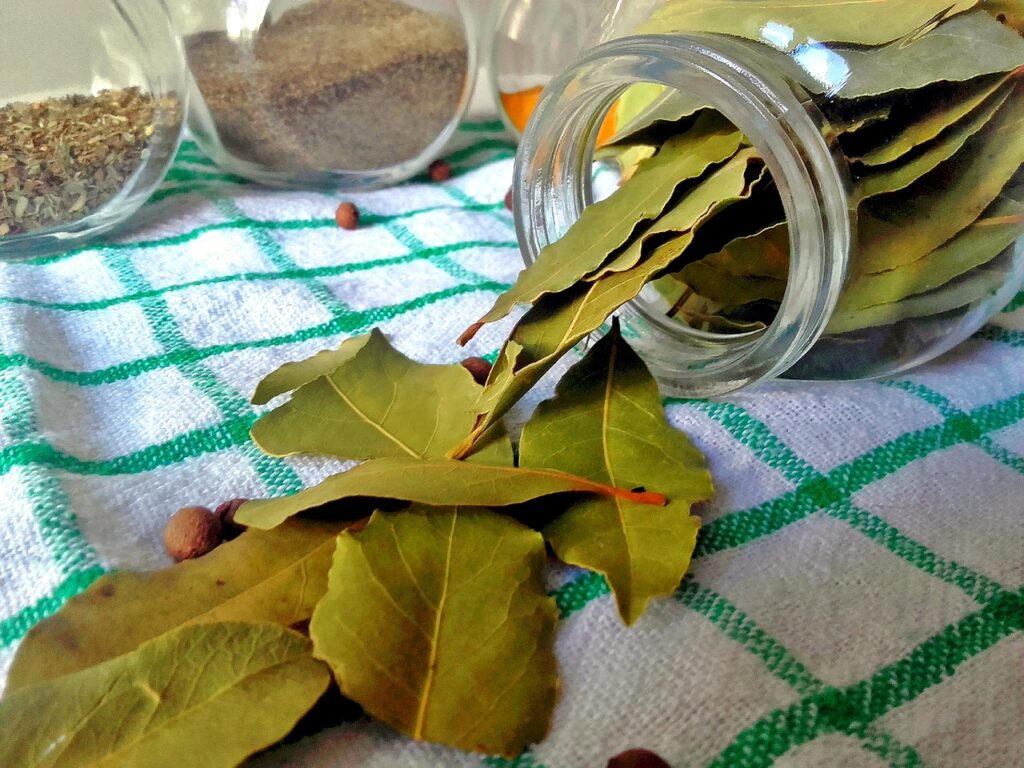 Bay leaves are some of the smells cockroaches hate.