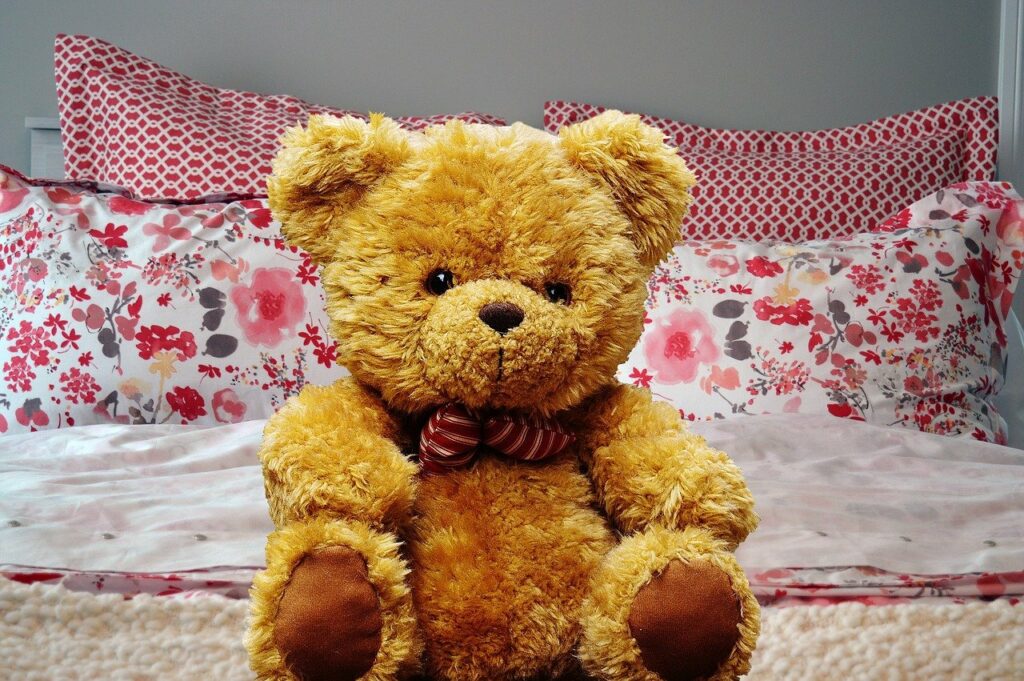 Bed bugs can thrive on personal items, including stuffed animals.