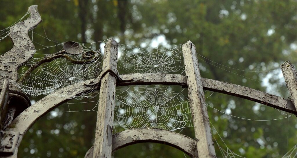 The production of spider silk is one of the biggest benefits of spiders to humans.