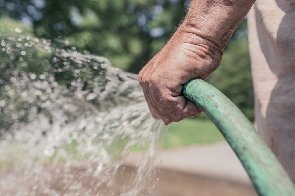 Get rid of aphids on your house plants with a garden hose.