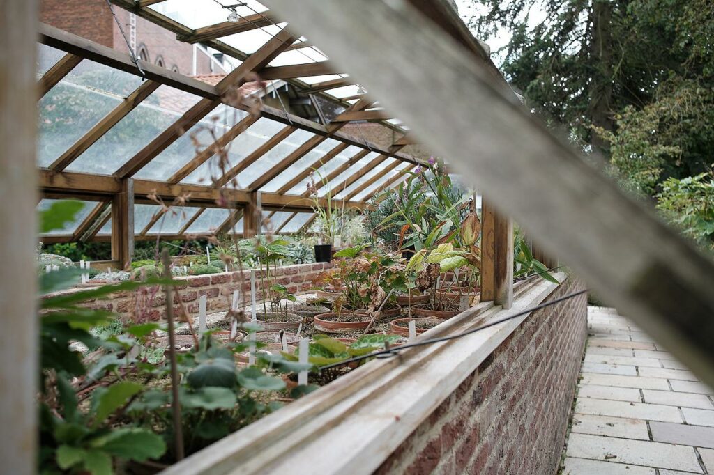 Avoid aggressive squirrels by enclosing your garden in a greenhouse.