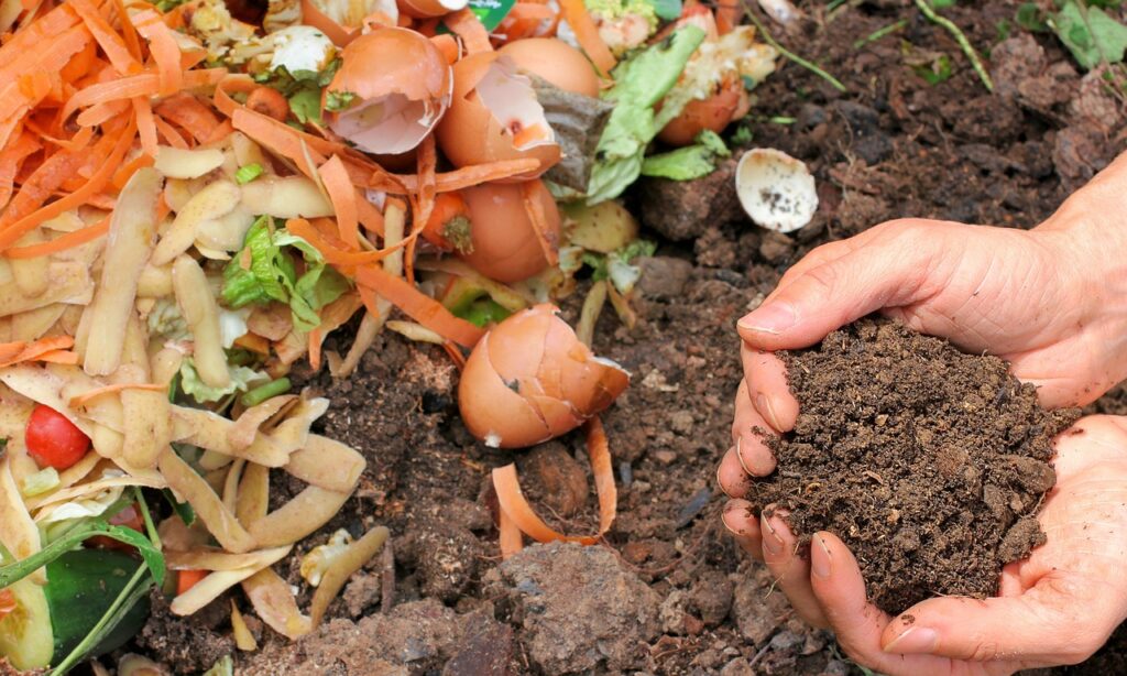 Having a compost pile is one of the reasons why you have garden millipedes.